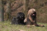 BRIARD 073